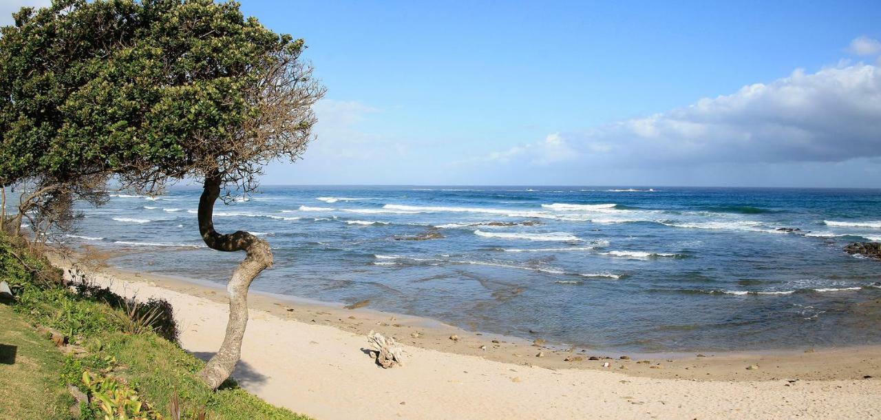 Neptunes Cove Kei Mouth Exteriör bild